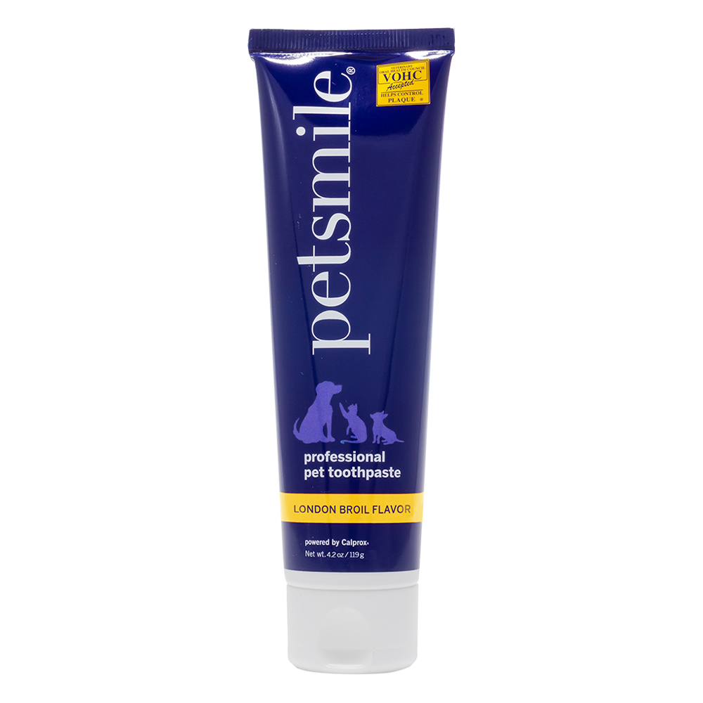 Petsmile Professional Pet Toothpaste London Broil Flavor Large